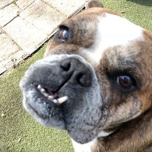 Meet your Posher, Kali flynn